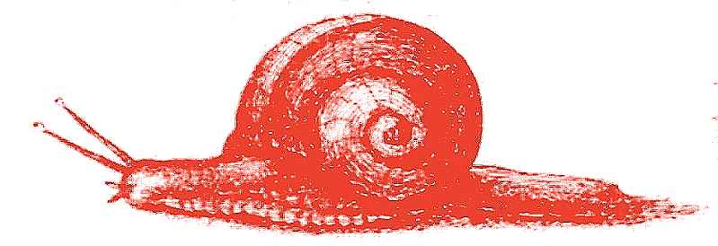 Schnecke (Radierung Wenzel Hollar, 1646)