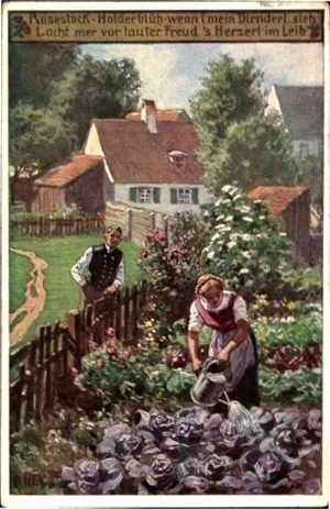 Hey, Paul, Volksliederkarte Nr. 41, Rosestock, Holderblüh, Frau gießt Kohlköpfe