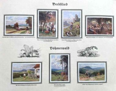 bilder 3