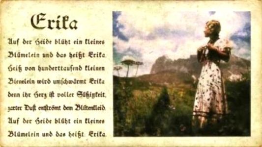 Erika-3