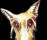 hund 200
