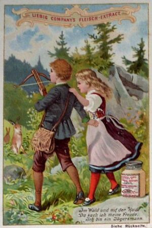 Im Wald Und Auf Der Heide