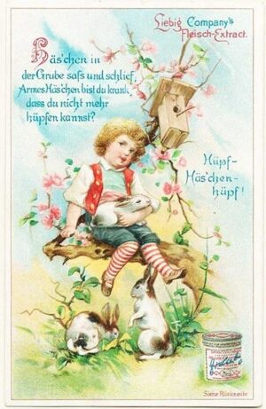 Kinder Häschen In Der Grube