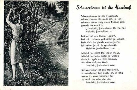 Schwarzbraun Ns 2