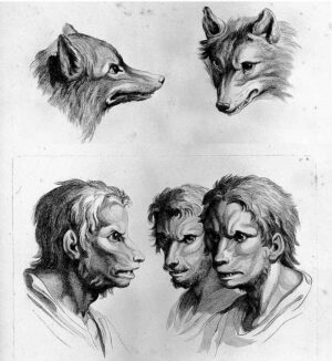 Werwolf (Charles Le Brun, 1806) Werwolf (Charles Le Brun, 1806)
